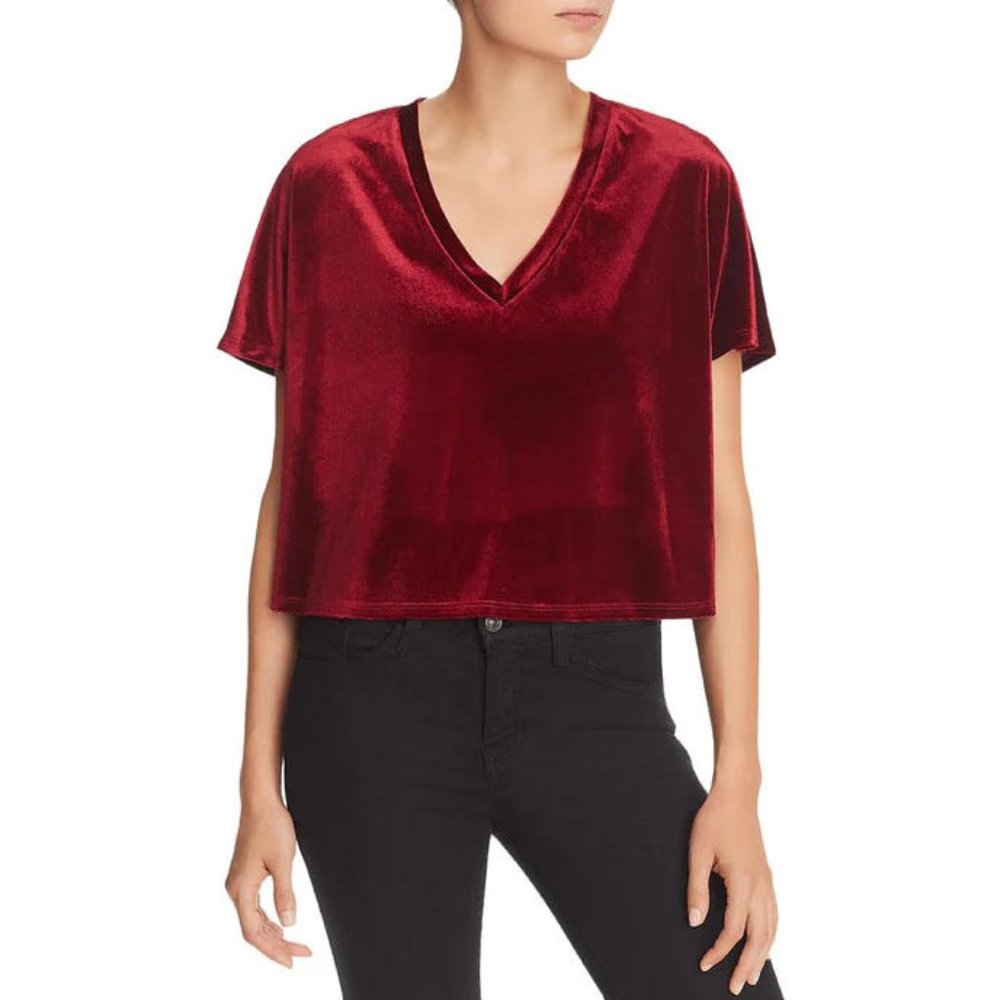 NWT AQUA VELVET V-NECK CROP TOP - M